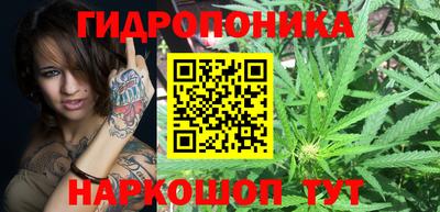 прущие грибы Изобильный